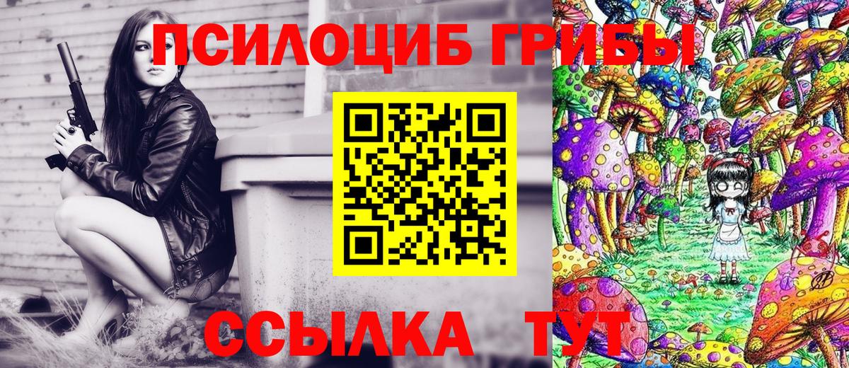 Галлюциногенные грибы Psilocybine cubensis  Вход с VPN  где купить наркоту  Псилоцибиновые грибы Magic Shrooms  Саянск 